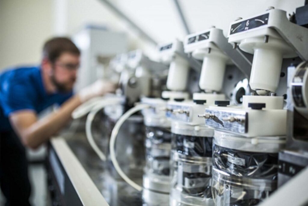 The Role of Automation in Data Organization The Role of Automation in Data Organization
