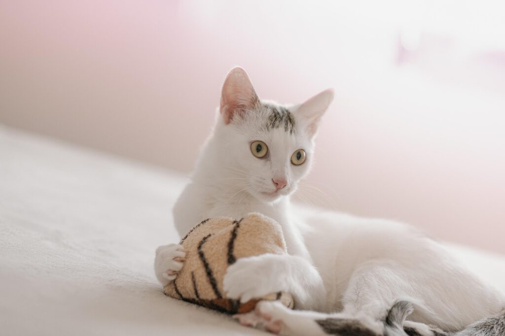 Effective Listening Techniques for Anxious Family Members