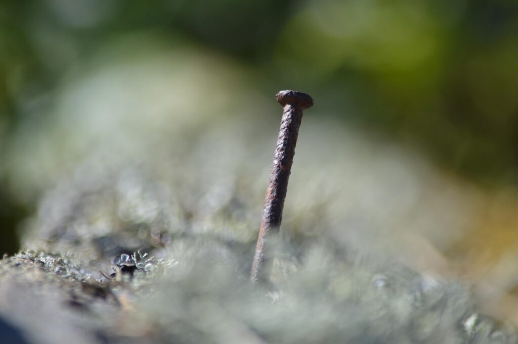 Navigating Company Culture and Salary Expectations