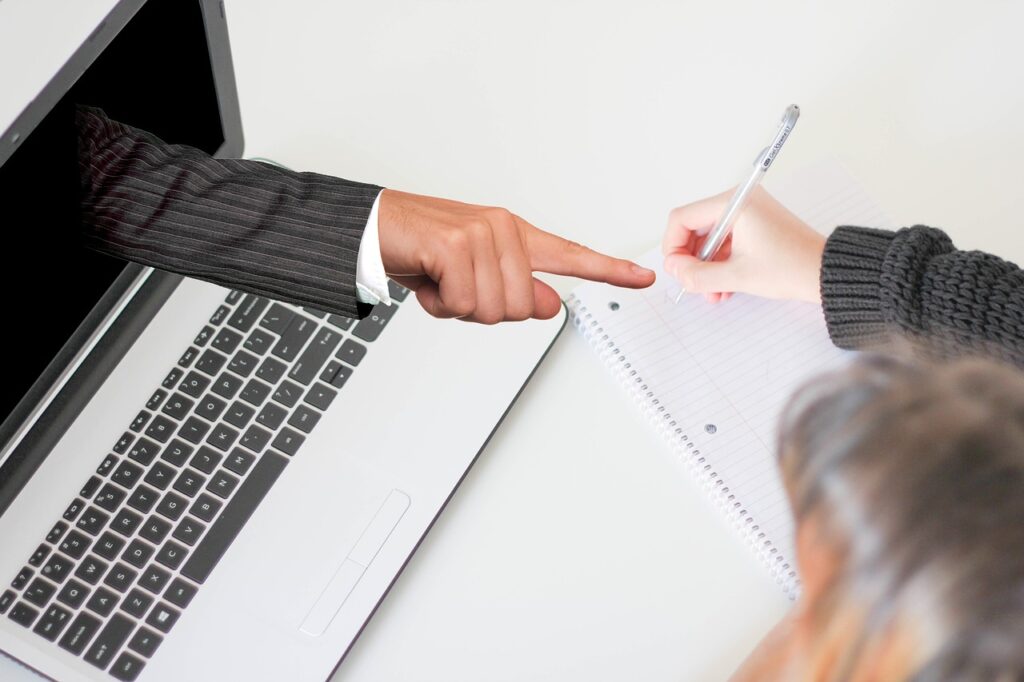 The Role of Mentorship in Continuous Learning