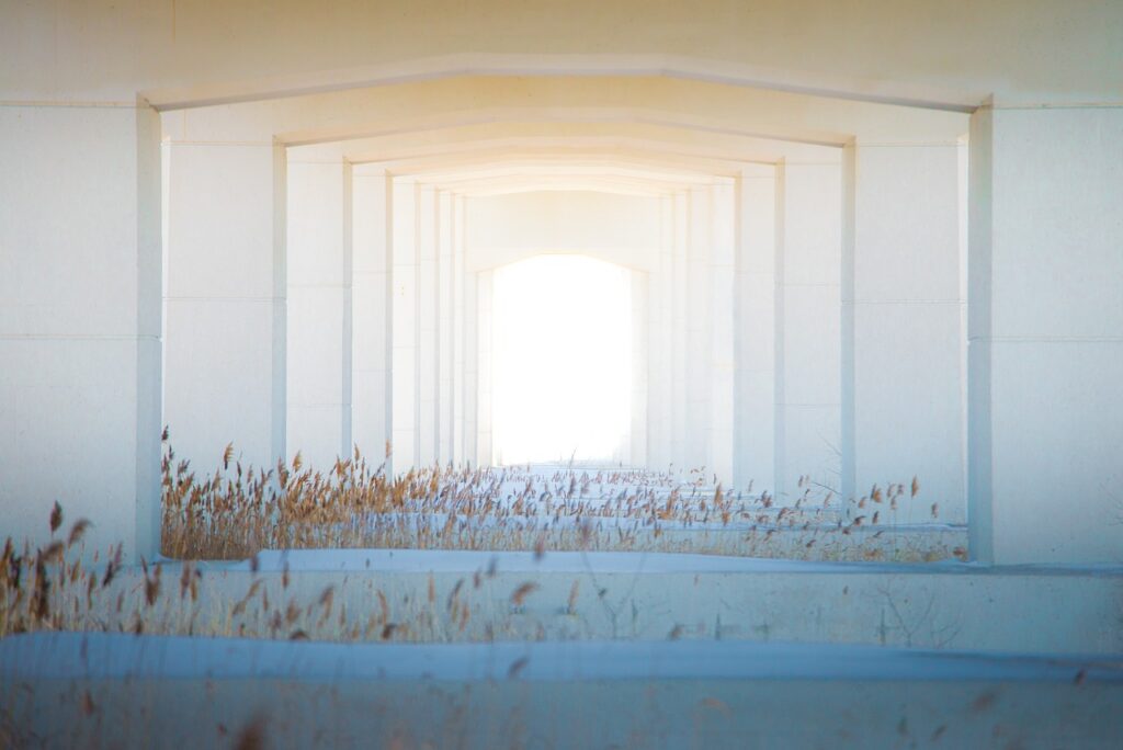 Building Bridges: Engaging Alumni in Curriculum Discussions