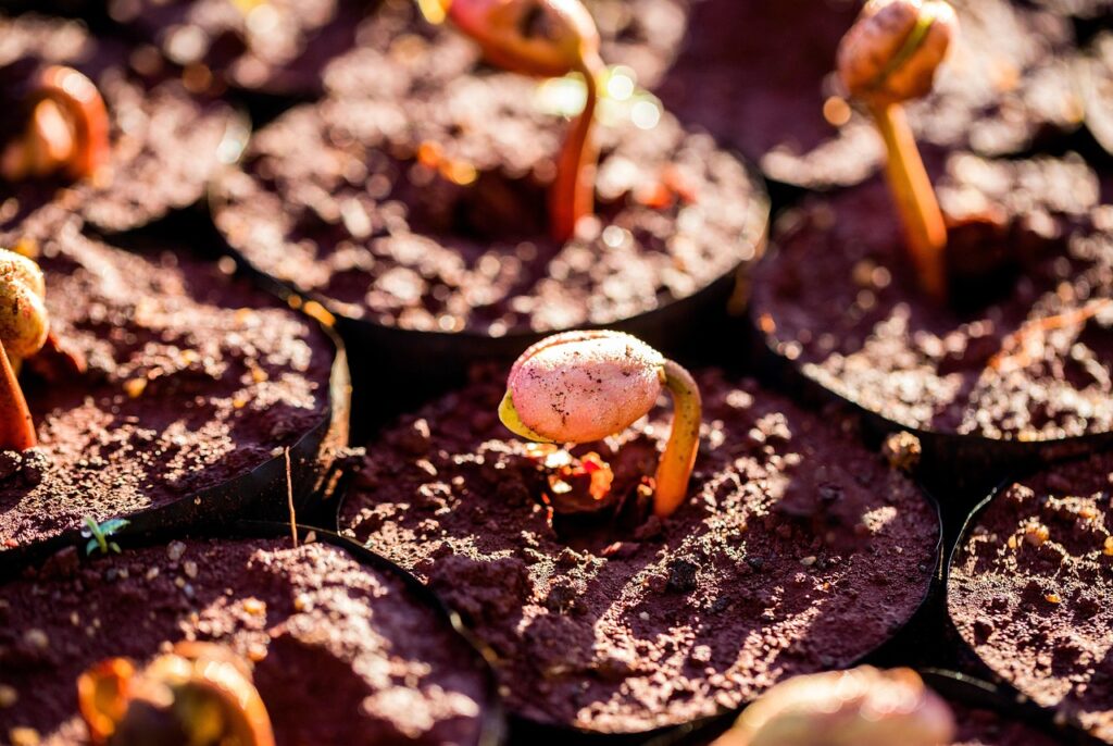 Emerging Internship Opportunities in Higher Education