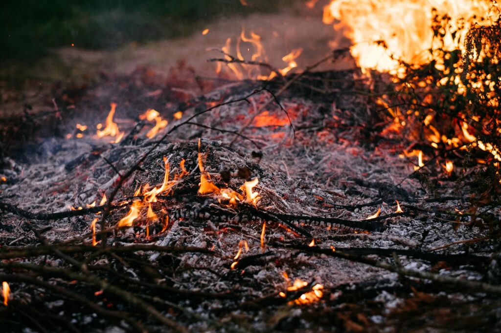 Carbon Tracking Apps and Their Impact