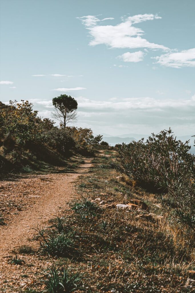 Building Trust in a Remote Work Environment Building Trust in a Remote Work Environment