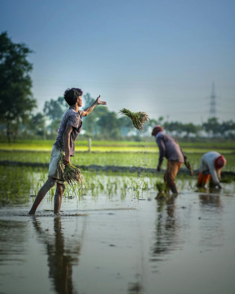 Sustainable Production Practices Sustainable Production Practices