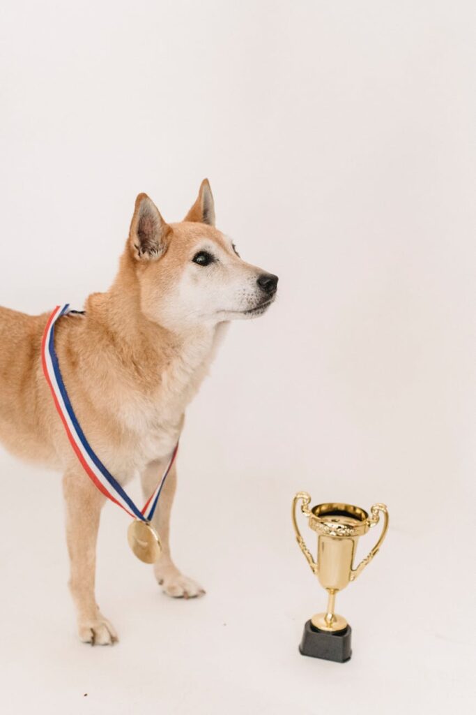 Celebrating Small Wins to Boost Self-Esteem Celebrating Small Wins to Boost Self-Esteem