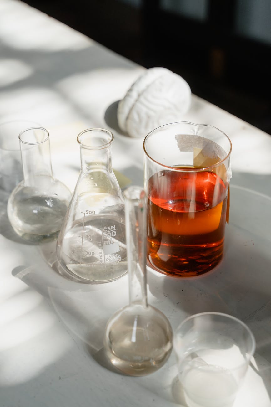 Maximizing Long-Term Knowledge Retention After ERP Training for Employees