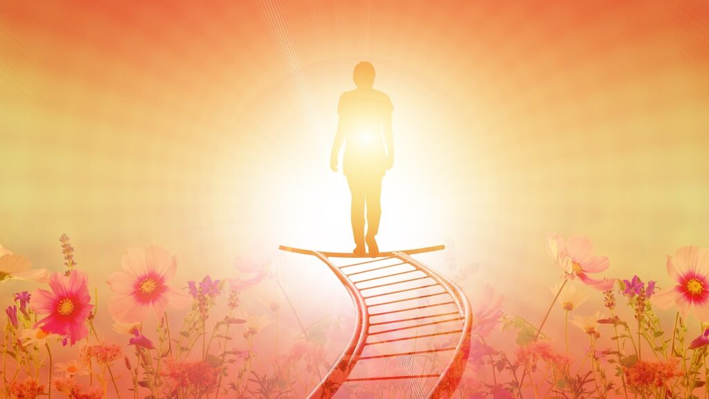 Career Transition Strategies for Mid-Career Educators