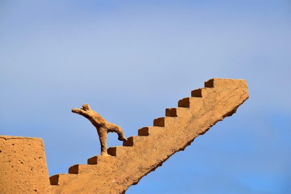 Navigating the Ever-Changing Landscape of Digital Learning Tools and Platforms