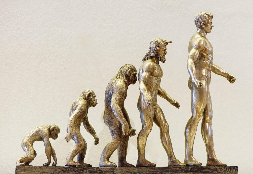 Understanding Servant Leadership in Conflict Resolution