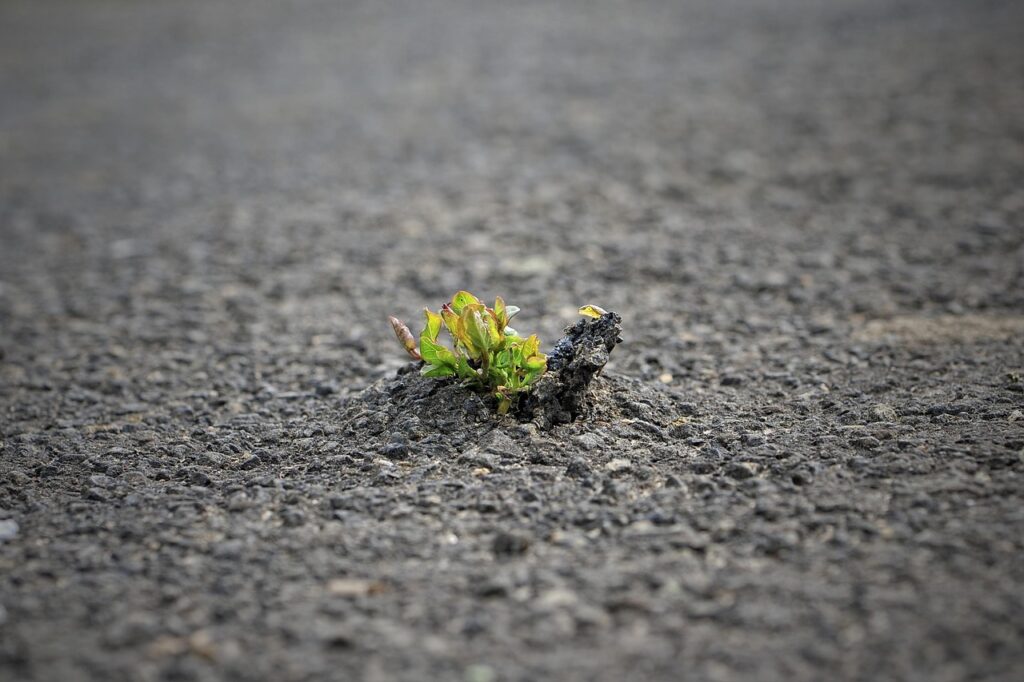 Building Stronger Teams with Emotional Intelligence