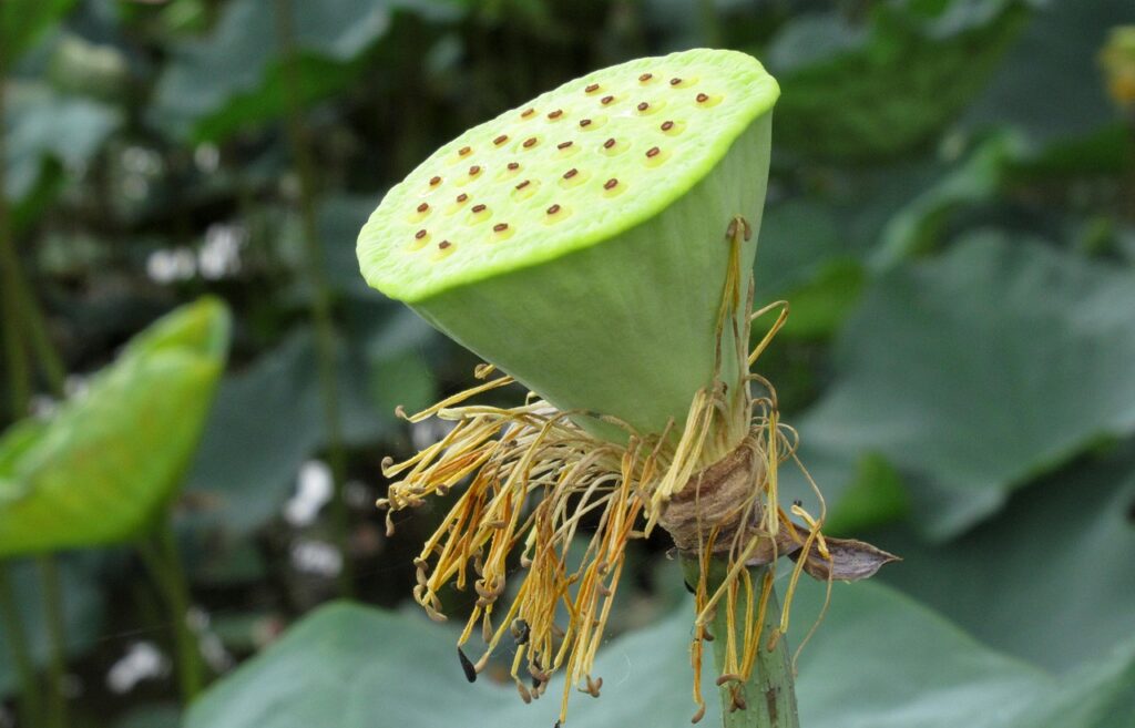 Real-Life Examples of Cynics Who Transformed Their Lives Real-Life Examples of Cynics Who Transformed Their Lives