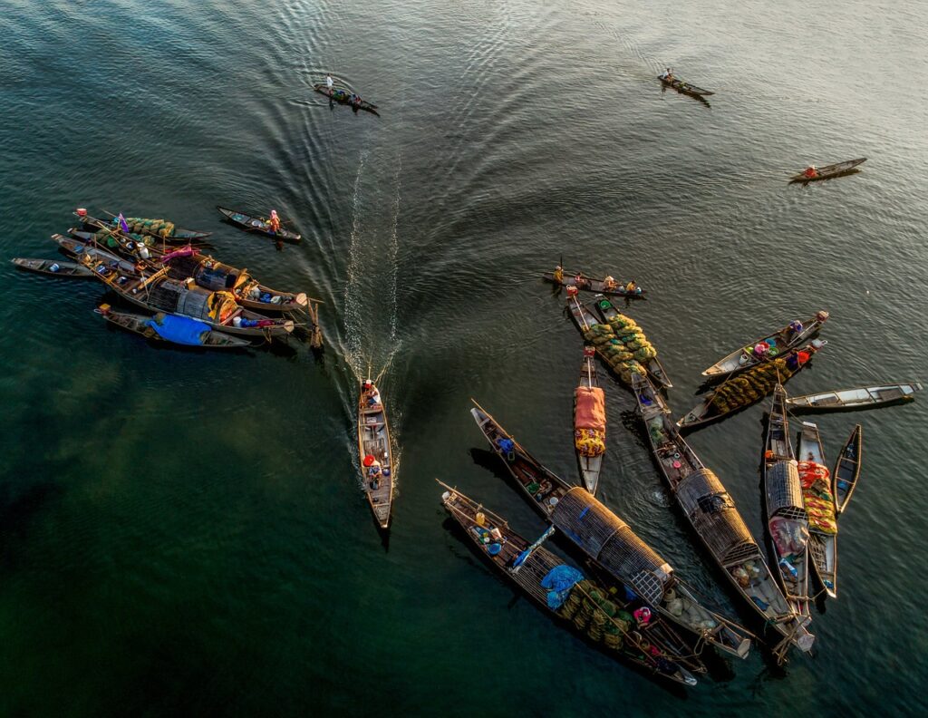 Leveraging Predictive Analytics for Market Adaptation