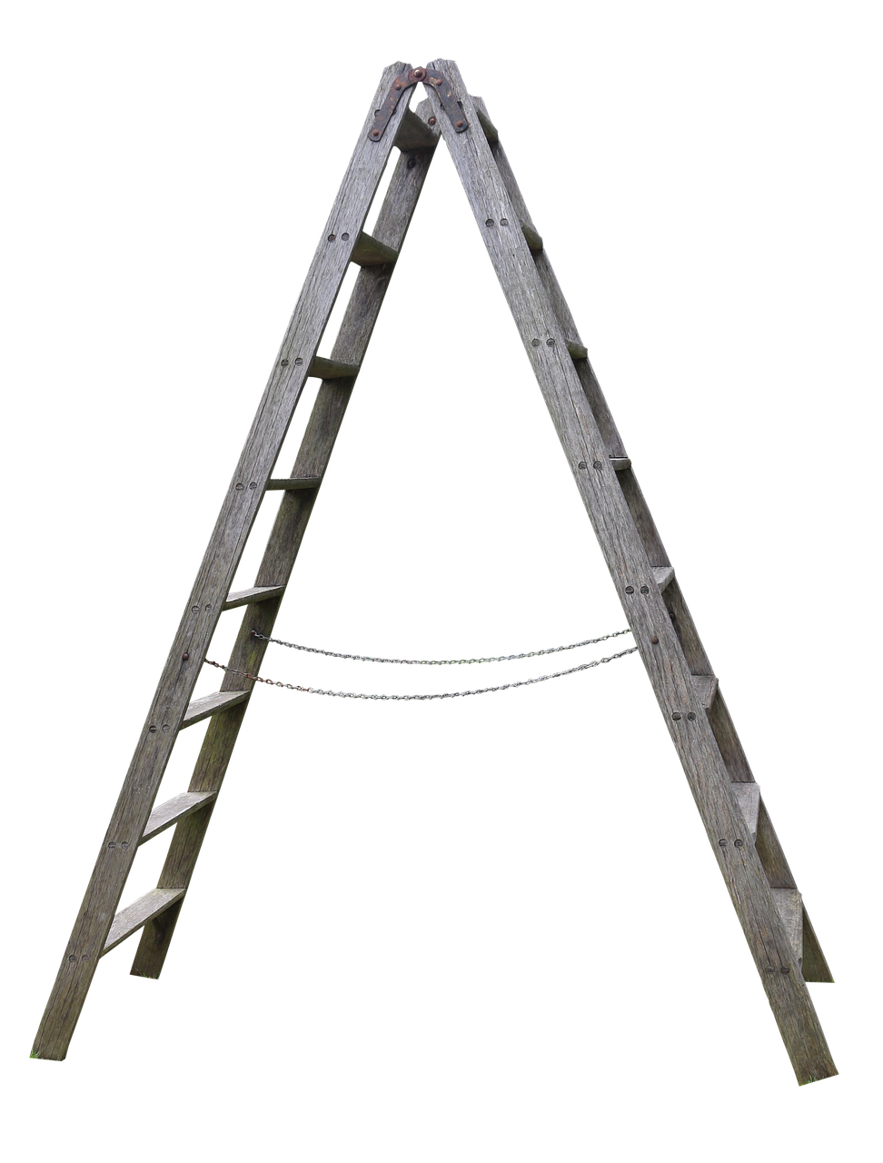 celebrating small wins boost morale