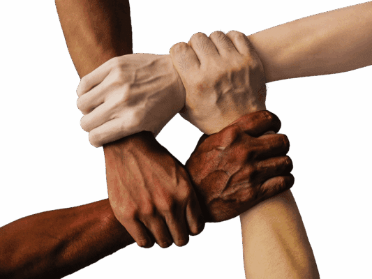 Fostering Seamless Collaboration in a Diverse Construction Team