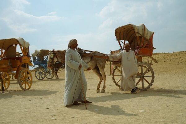 Kickstart Your Network Administration Journey: A Beginner’s Guide to Practical Experience