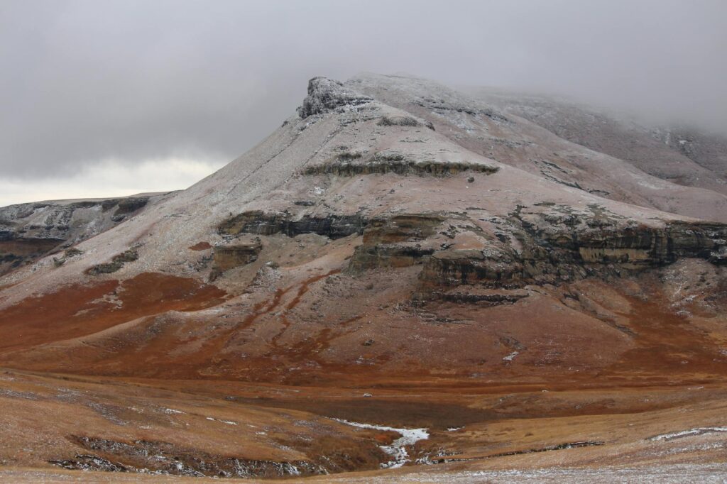 Establishing Core Values for Remote Franchisees