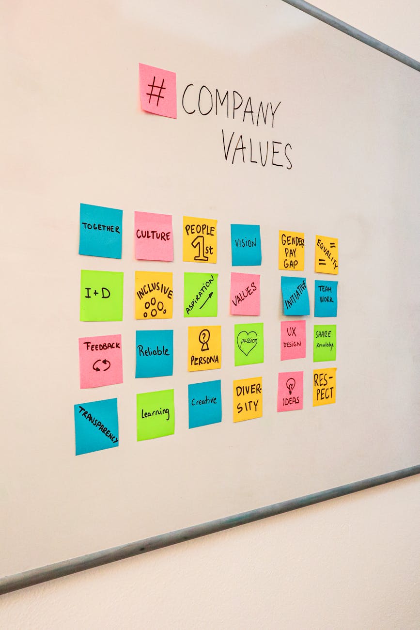 Leveraging Feedback for Professional Growth in Nonprofit Leadership