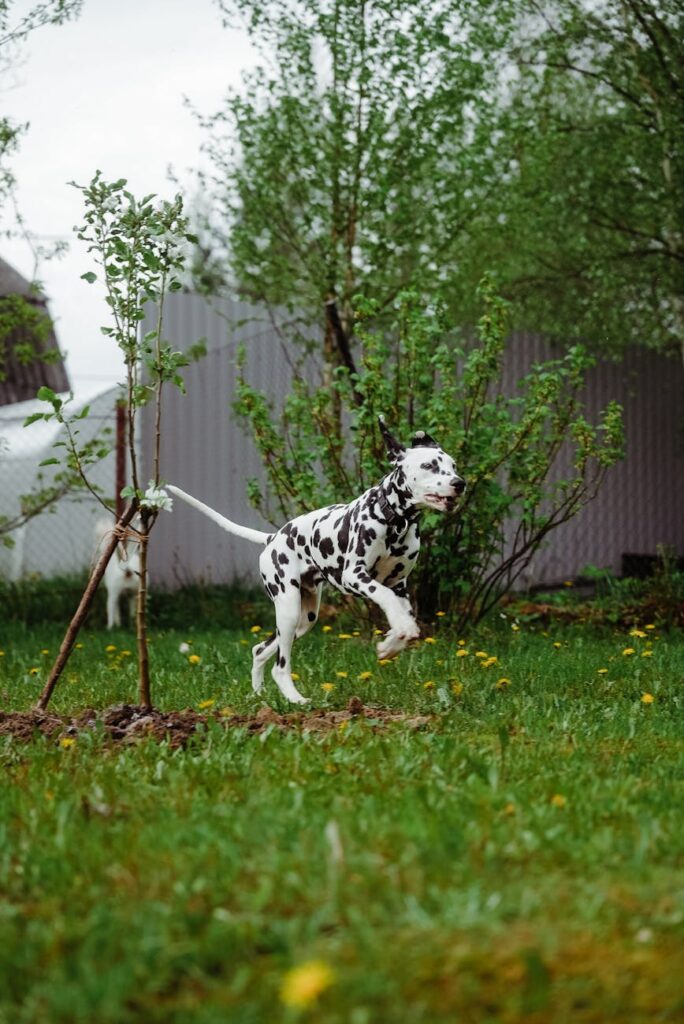 Engaging Stakeholders in Problem-Solving