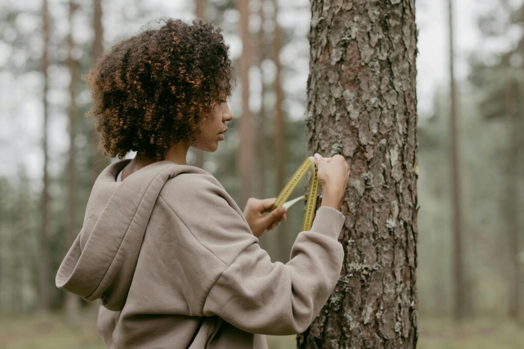 Measuring the ROI of Sustainability Initiatives