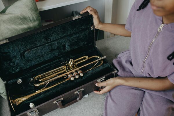 Navigating Conflicts of Interest in Competing Portfolio Companies