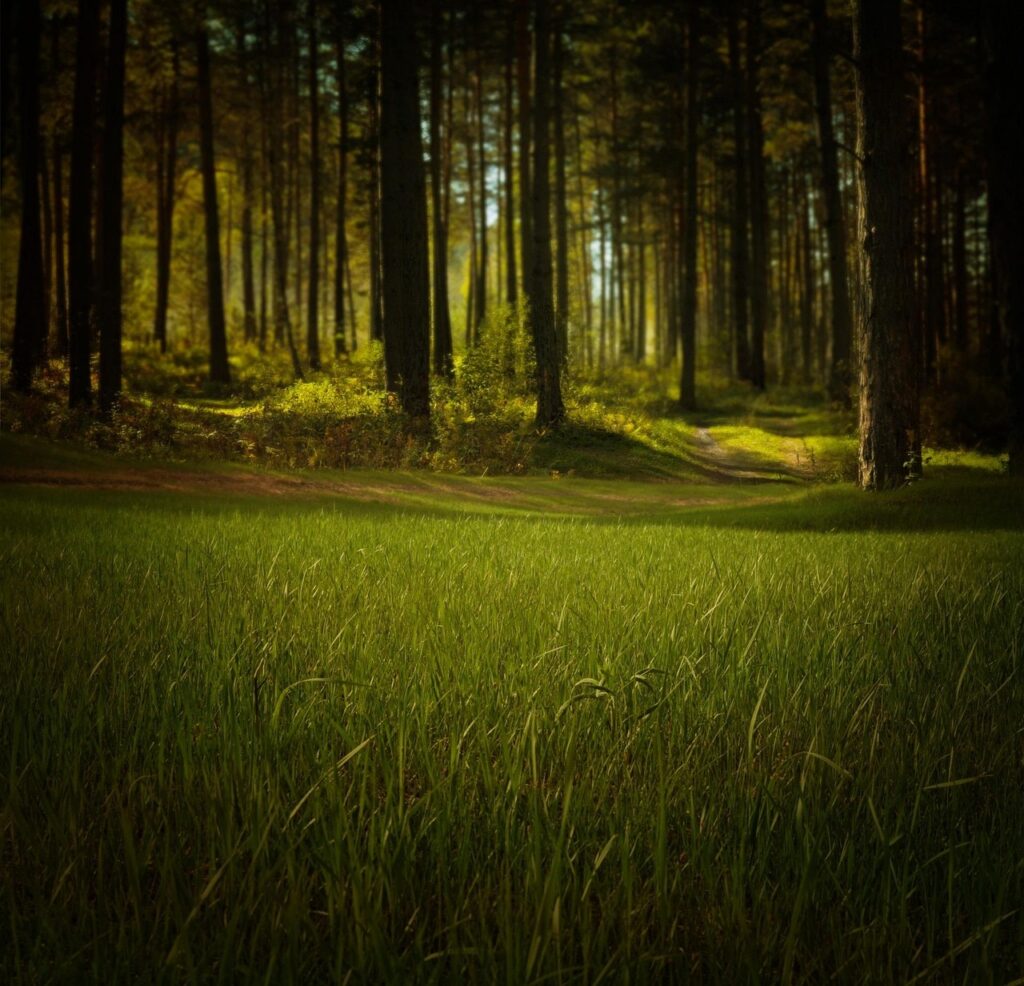 Understanding the Landscape – environment