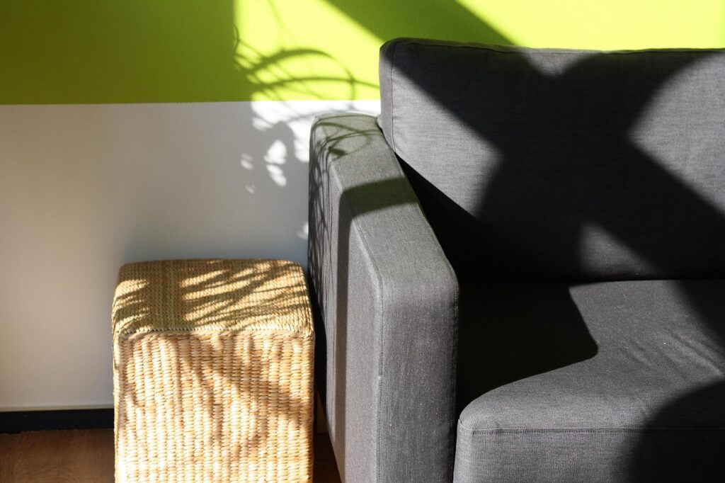 Introduction – peer coaching