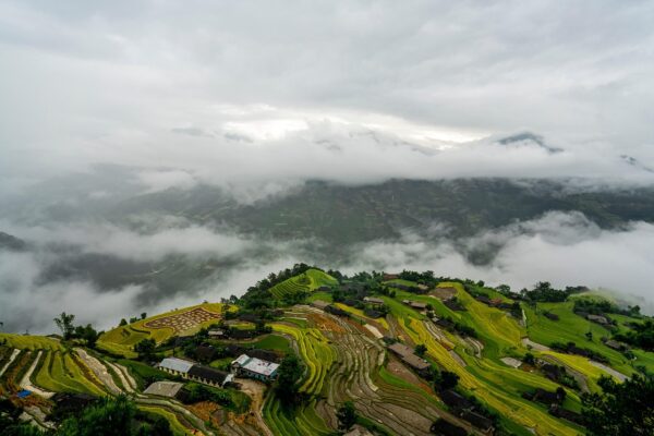 Discovering Essential Needs: A Comprehensive Assessment Guide