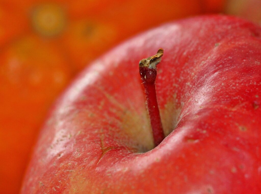 HR Insights: Recruiting and Retaining Talent in Apple vs Android Companies HR Insights: Recruiting and Retaining Talent in Apple vs Android Companies