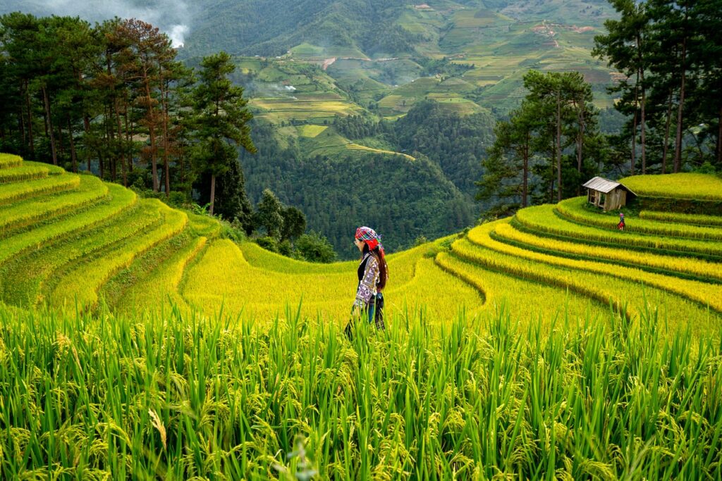 The Future of Agriculture The Future of Agriculture