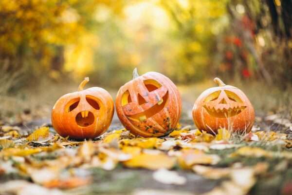 Embracing Autumn: A Guide to the Beauty and Magic of the Fall Season