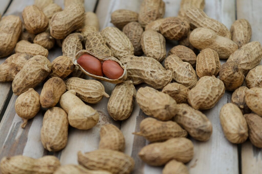 Top Mediterranean Diet Foods to Boost Employee Productivity Top Mediterranean Diet Foods to Boost Employee Productivity