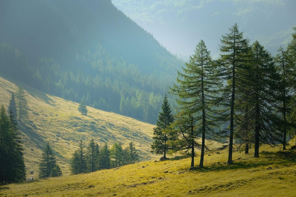 4. Travel and Explore New Places