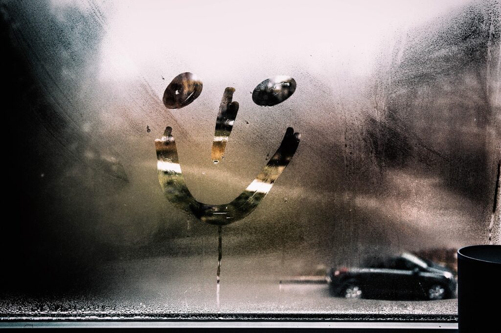 Emotional Intelligence Emotional Intelligence