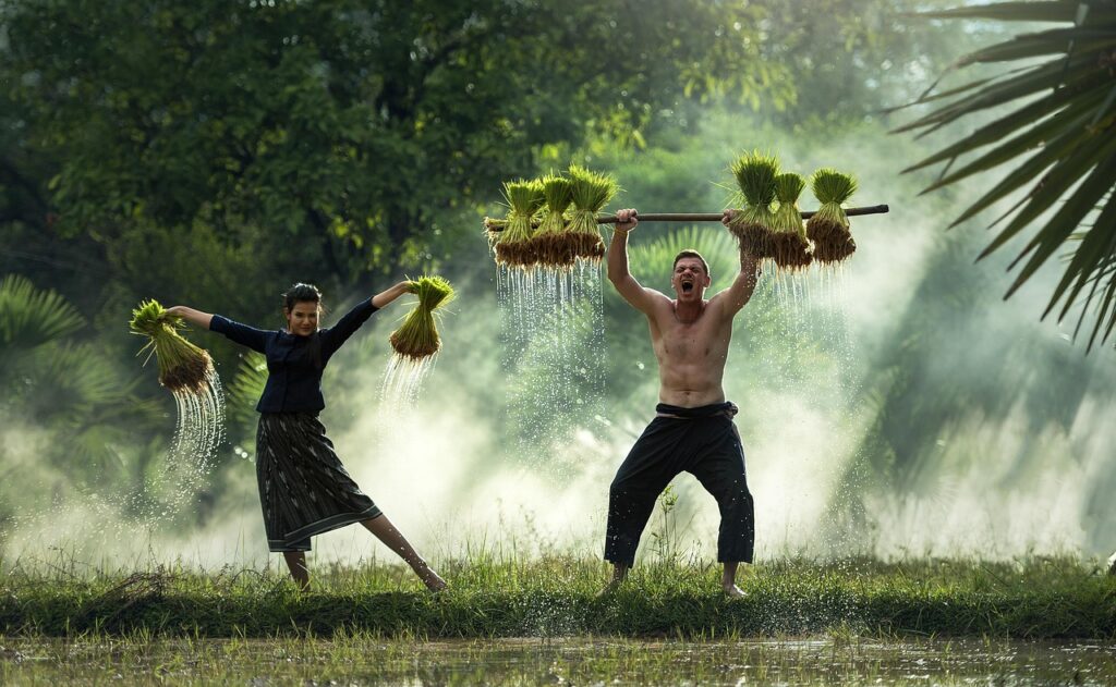 The Role of Emotional Intelligence in Cultivating Healthy Work Relationships The Role of Emotional Intelligence in Cultivating Healthy Work Relationships