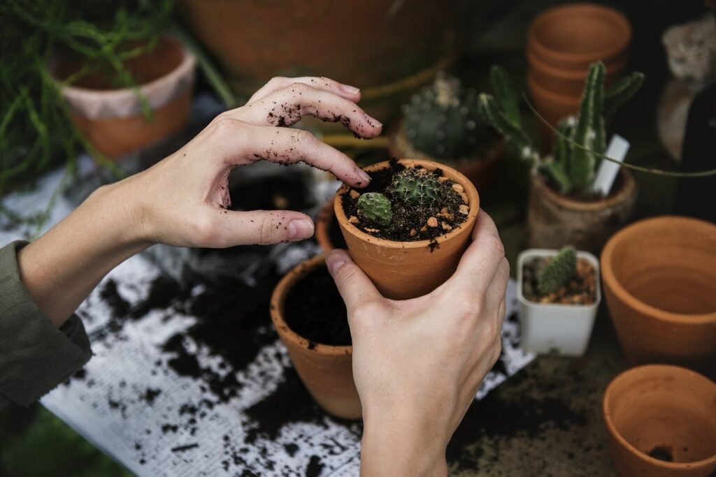 1. Explore New Hobbies – Gardening