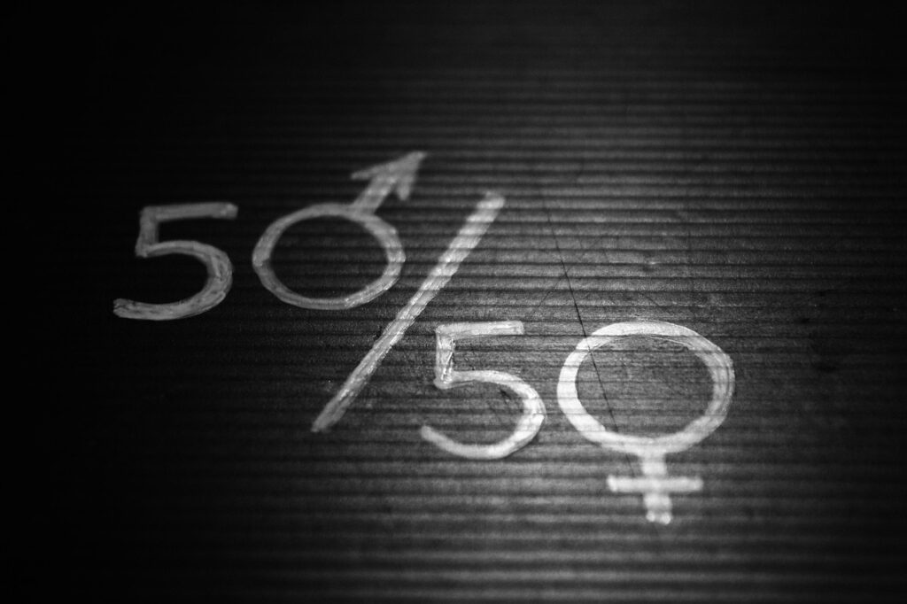 Breaking Barriers: Promoting Gender Equality in the Automotive Sector Through HR Initiatives Breaking Barriers: Promoting Gender Equality in the Automotive Sector Through HR Initiatives