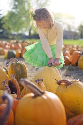 Fall Fun: The Ultimate Guide to Pumpkin Picking Adventures