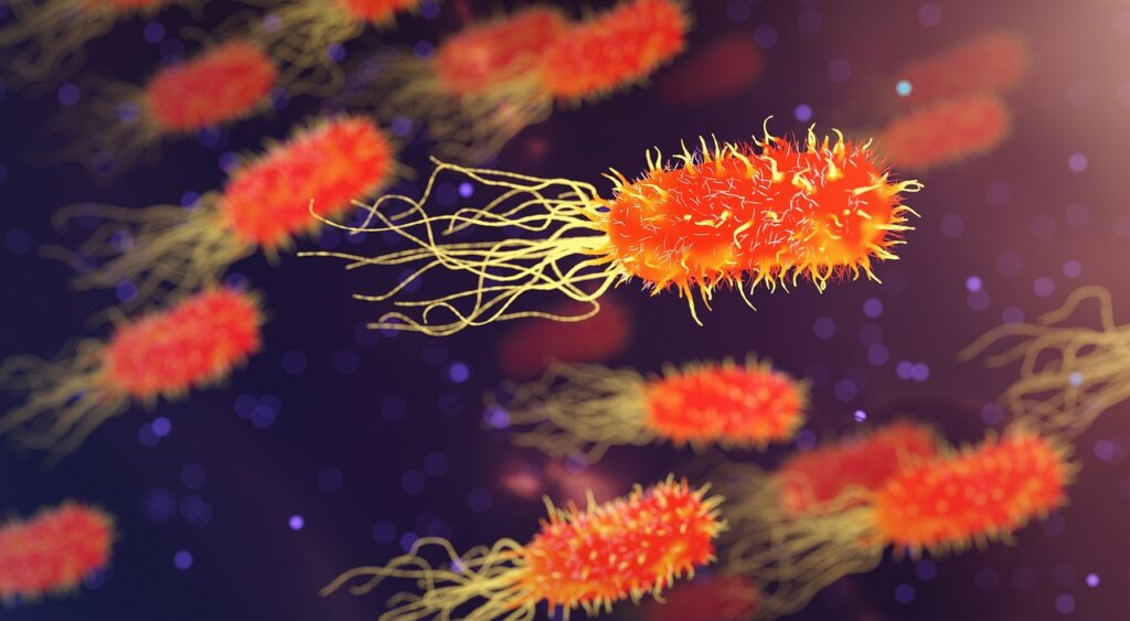 The Science of Beauty: Understanding the Impact of Genetics and Environment radiance