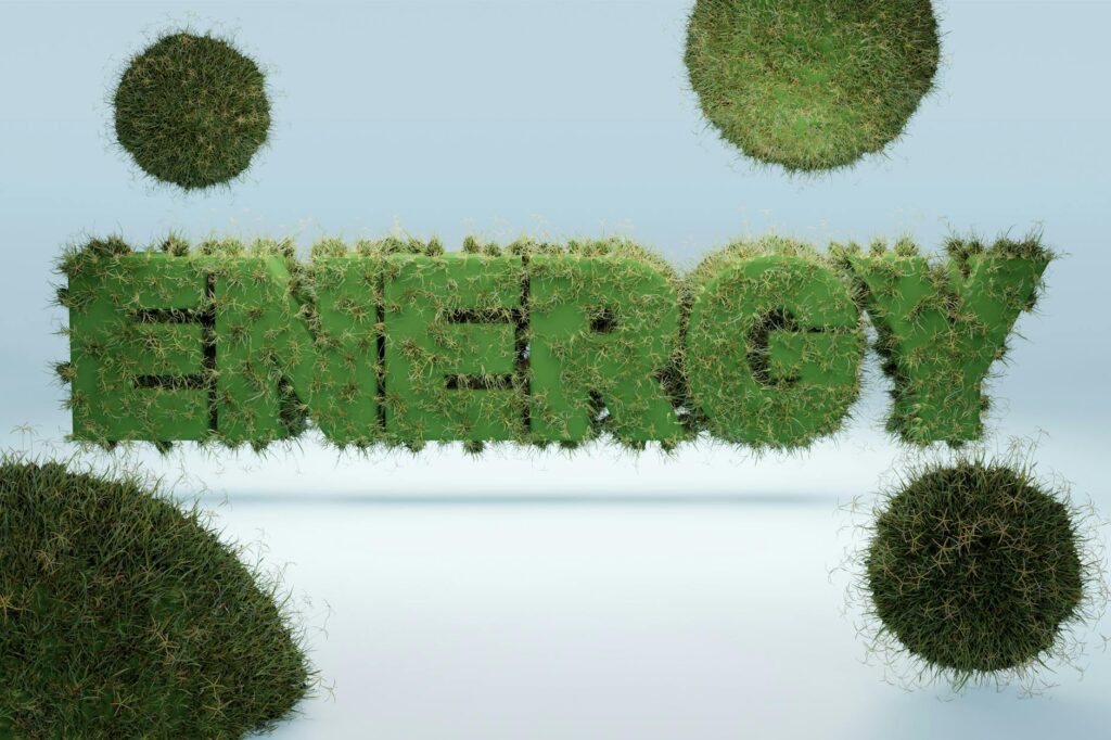 Innovative Ways HR Departments Can Implement Biomass Energy