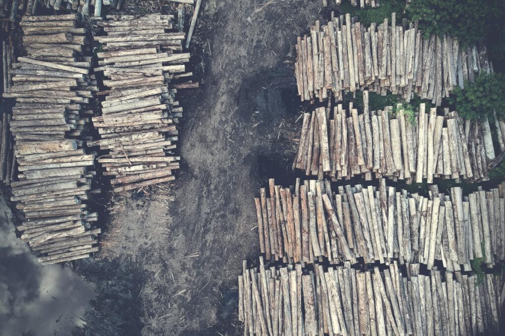 How Biomass Utilization Impacts HR Strategies How Biomass Utilization Impacts HR Strategies