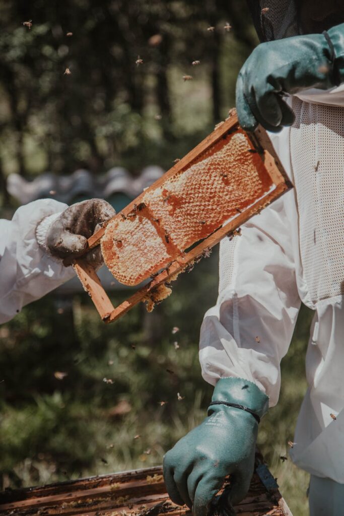 Beehive Management 101: Understanding the Basics of Beekeeping for HR Professionals Beehive Management 101: Understanding the Basics of Beekeeping for HR Professionals
