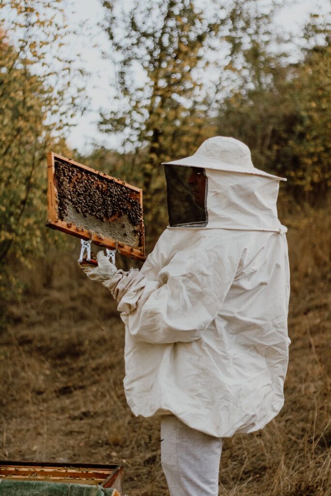 Beekeeping as a Career: Opportunities in the Apiary Industry