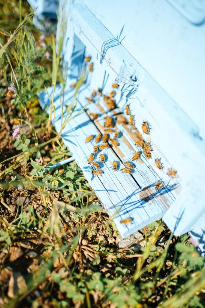 Bee Pollen and Propolis: Exploring the Health Benefits of Bee Products for Employees Bee Pollen and Propolis: Exploring the Health Benefits of Bee Products for Employees