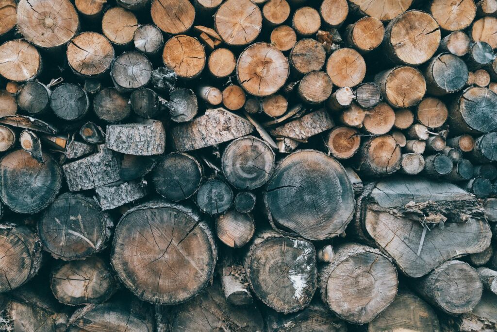 Introduction to Biomass: A Sustainable Solution for HR benefits