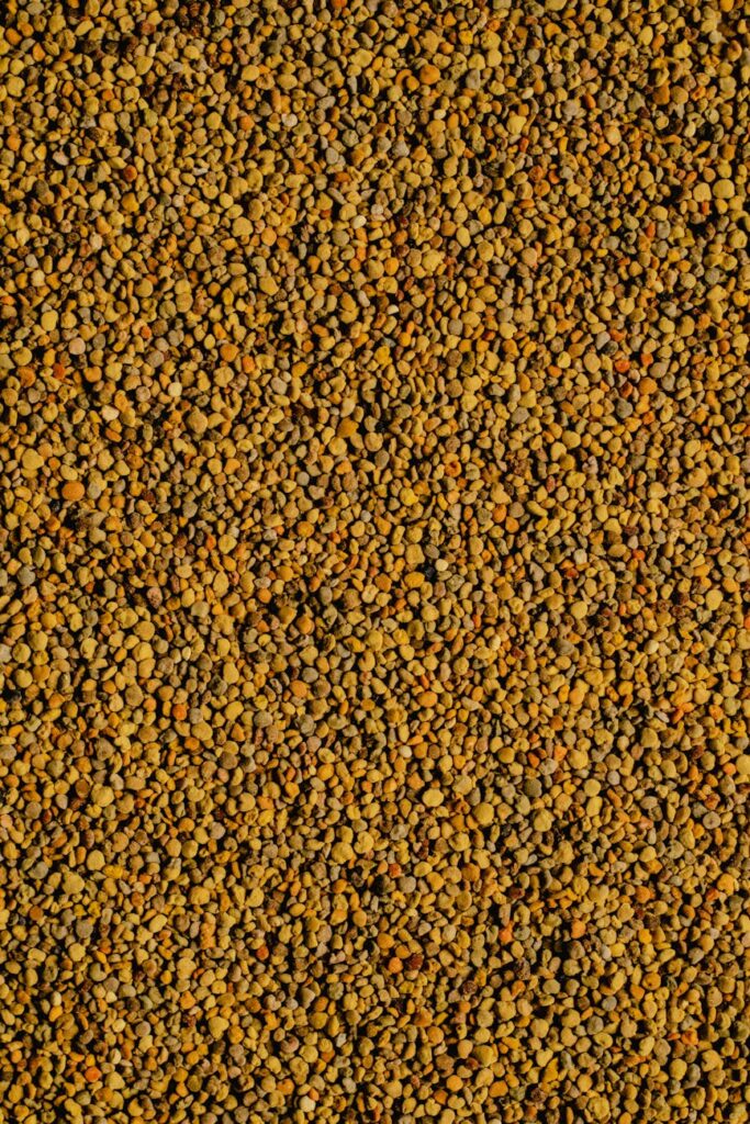 Wellness Benefits of Bee Products for Employees
