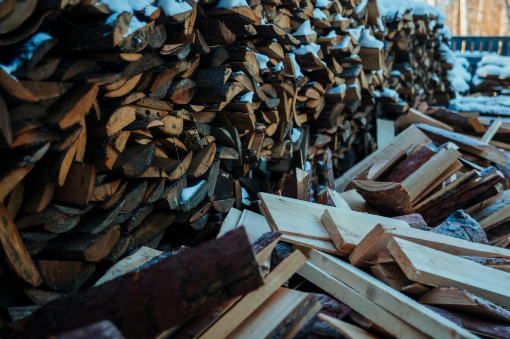 The Role of Biomass Energy in Sustainable HR Practices – Sustainable source