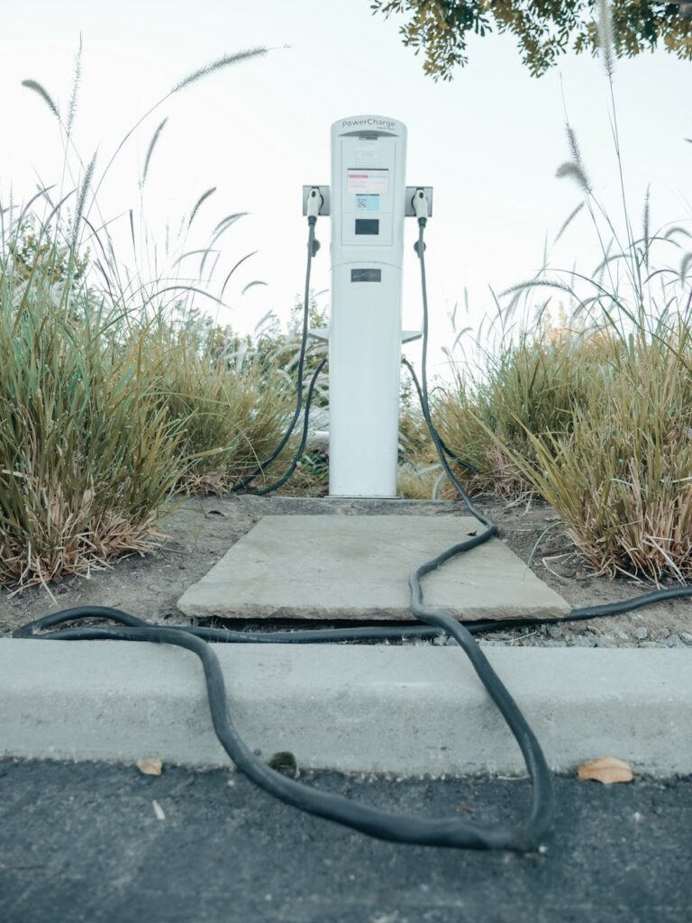 Steering Towards Sustainability: The Green Future of the Automotive Industry Steering Towards Sustainability: The Green Future of the Automotive Industry